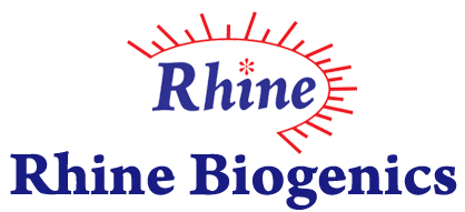 rhine_volga
